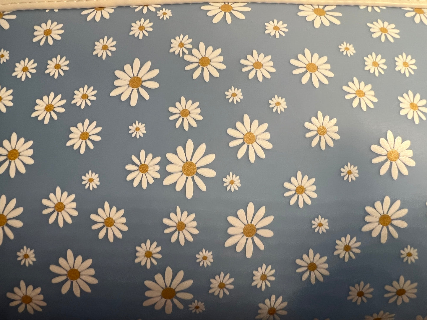 Daisy Print Jelly Makeup Bag – 10” x 6” Cosmetic Pouch